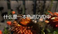 什么是一本色道DVD中文字幕蜜桃视频